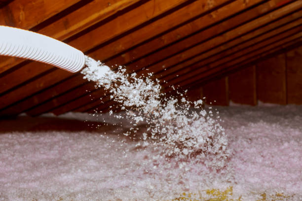 Best Insulation Removal  in Potosi, TX