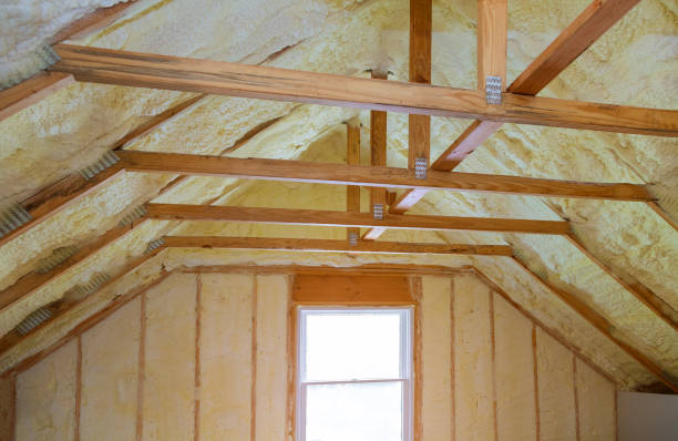 Best Spray Foam Insulation  in Potosi, TX