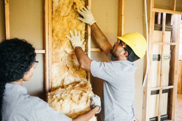 Best Residential Insulation Services  in Potosi, TX