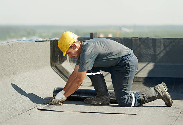 Best Insulation Contractors for Homes  in Potosi, TX