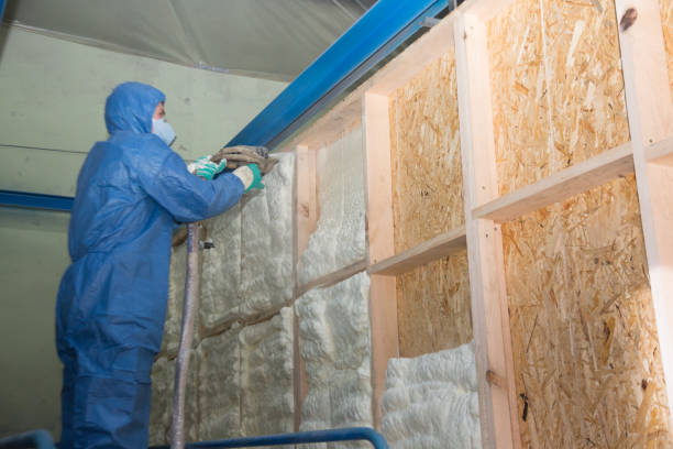 Best Insulation Inspection Services  in Potosi, TX